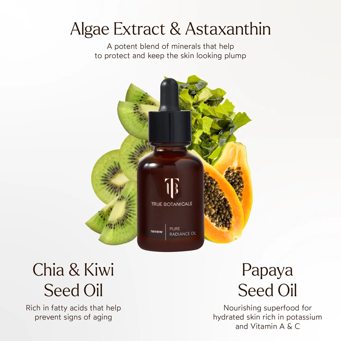 Regenerative Face Bundle
