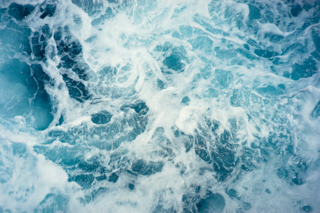 Regenerative Oceans Bundle